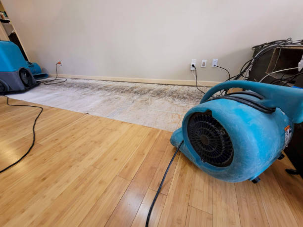 Professional Ceiling Water Damage Repair technician working in Horatio, SC